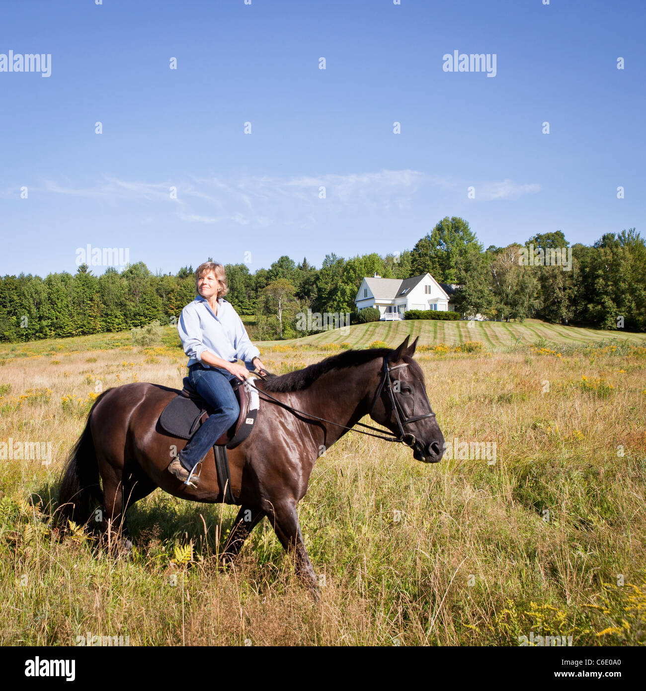 Caucasian woman riding horse in field Banque D'Images