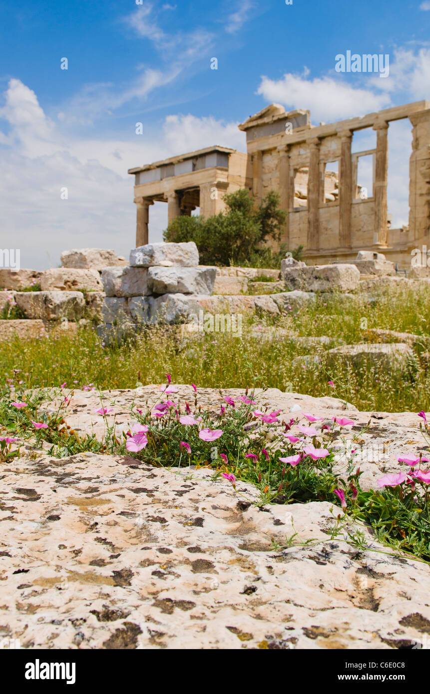 Grèce, Athènes, acropole, Erechtheum Banque D'Images