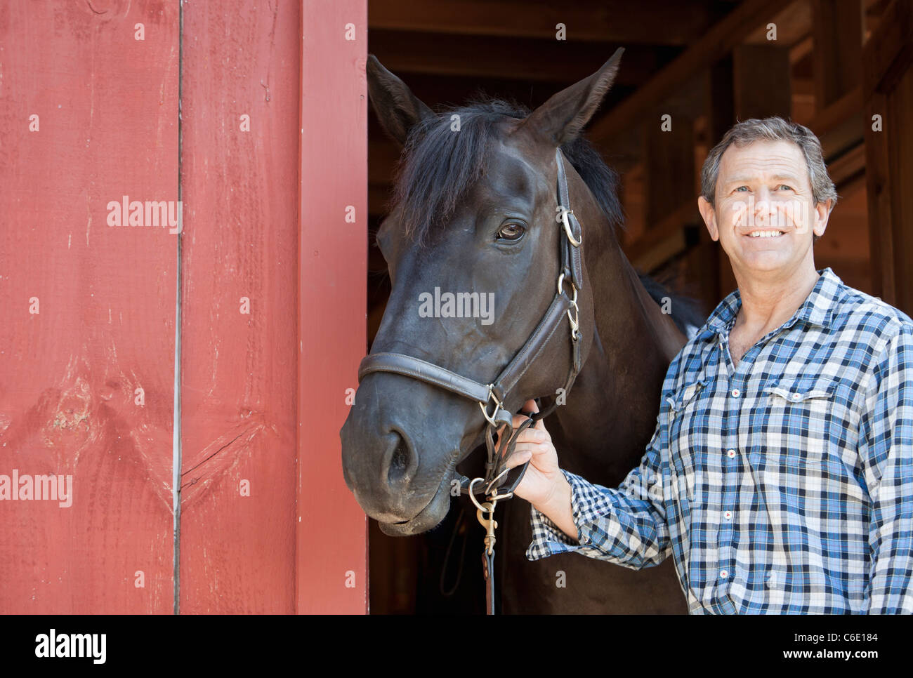 Caucasian man holding horse's bridle Banque D'Images