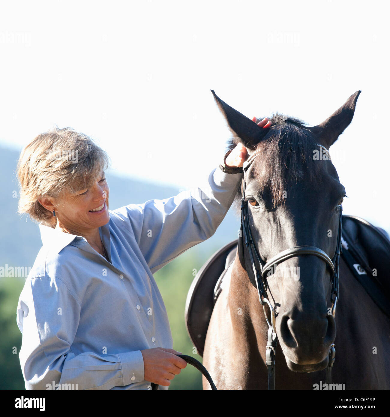 Caucasian woman petting horse Banque D'Images