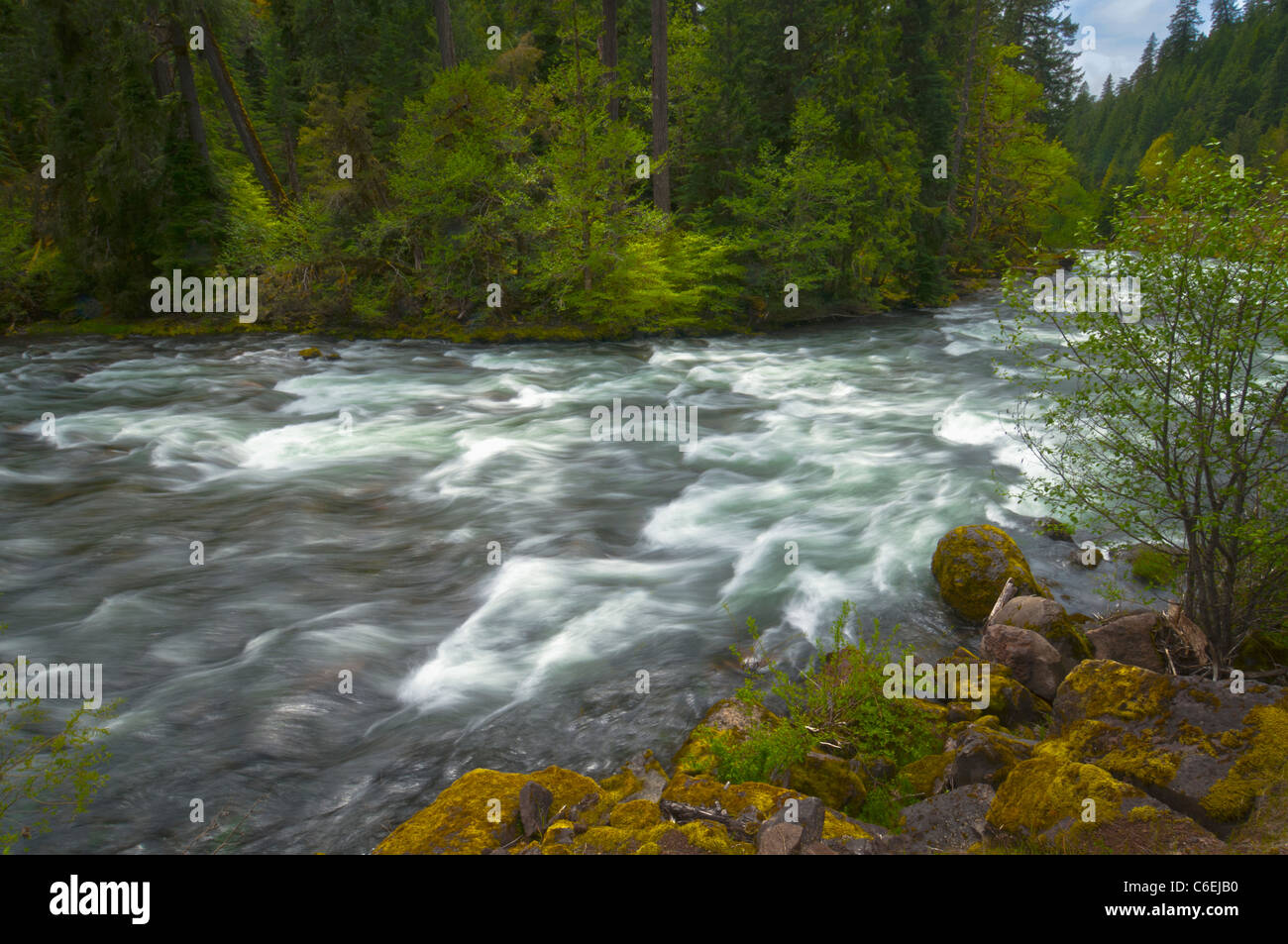 USA (Oregon), vue panoramique sur la rivière Santiam Banque D'Images