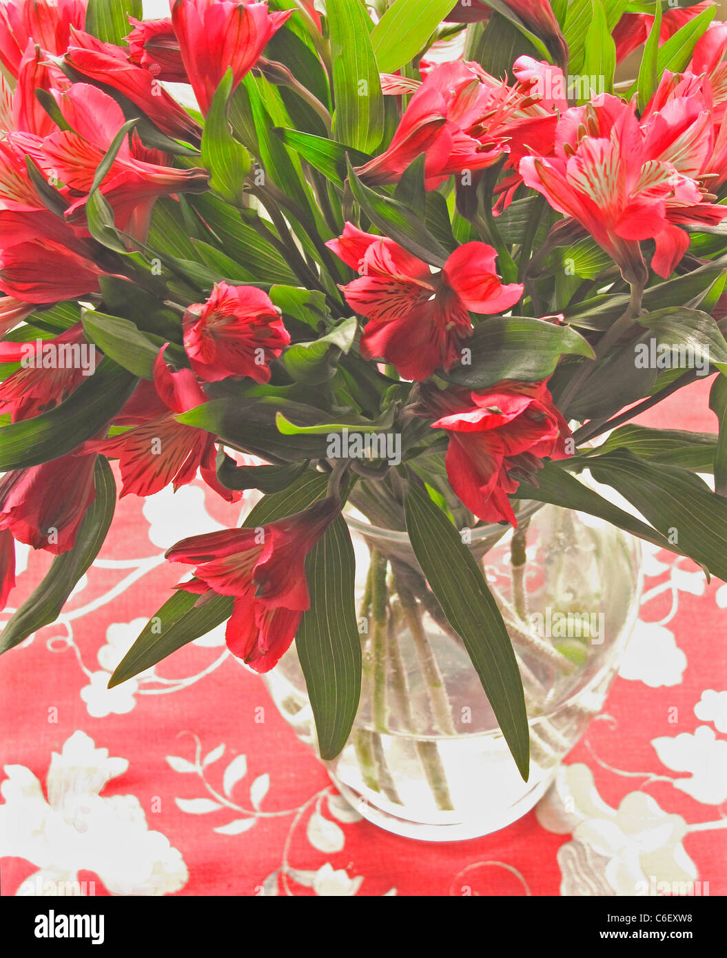 Fleurs dans vase en verre Banque D'Images