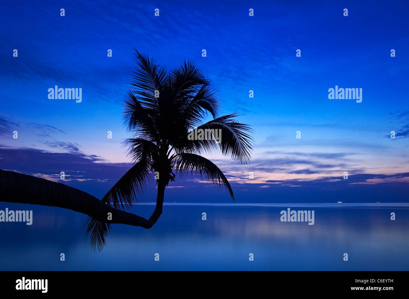 Crépuscule dans les tropiques Banque D'Images