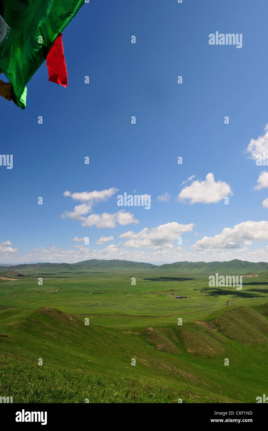 Un battement d'un drapeau de prière tibétain sur la prairie. Au Sichuan, en Chine. Banque D'Images Un battement d'un drapeau de prière tibétain sur la prairie. Au Sichuan, en Chine. Banque D'Images