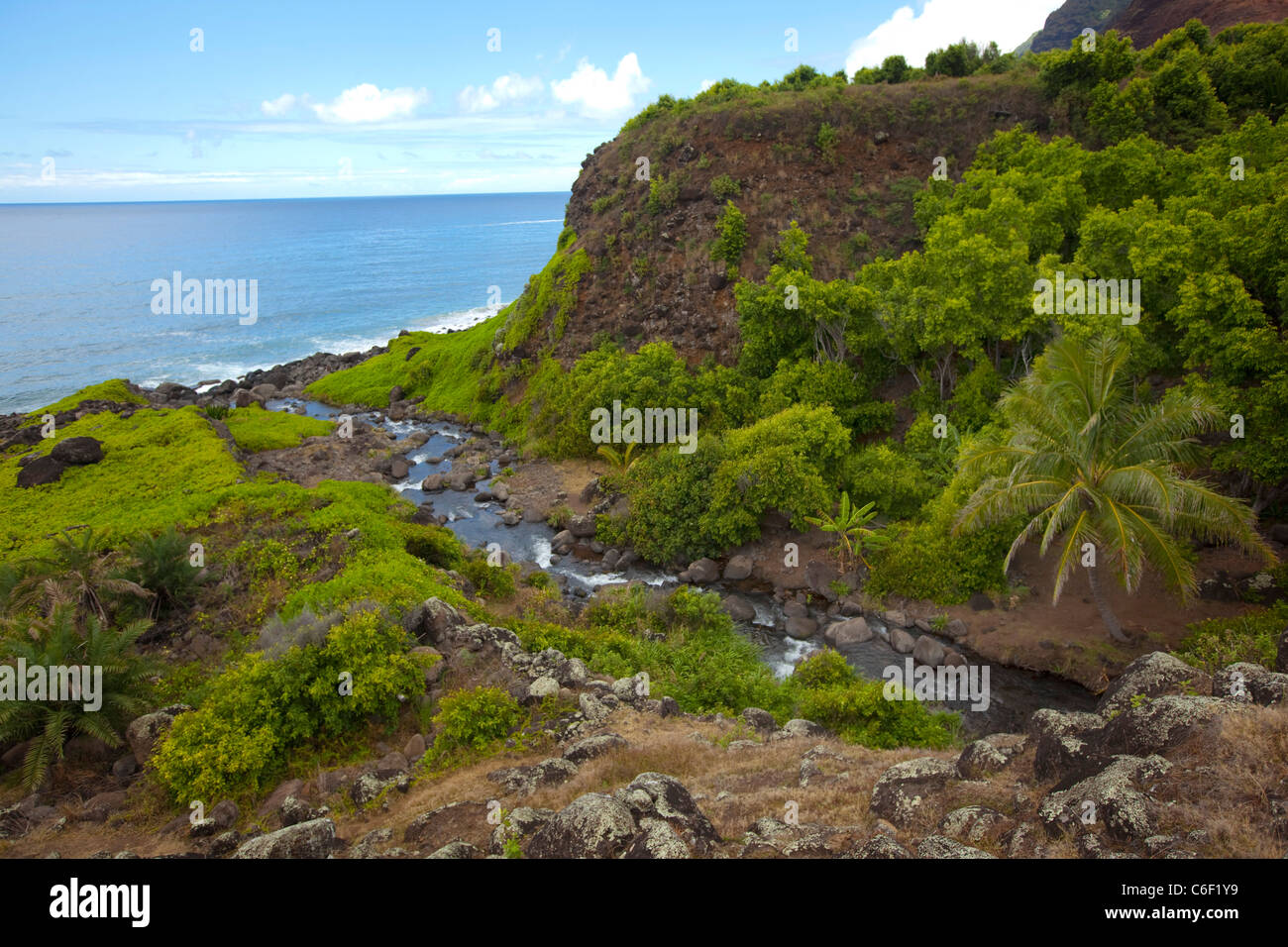 Kalalau Valley Stream, Napali Coast, Kauai, Hawaii Banque D'Images