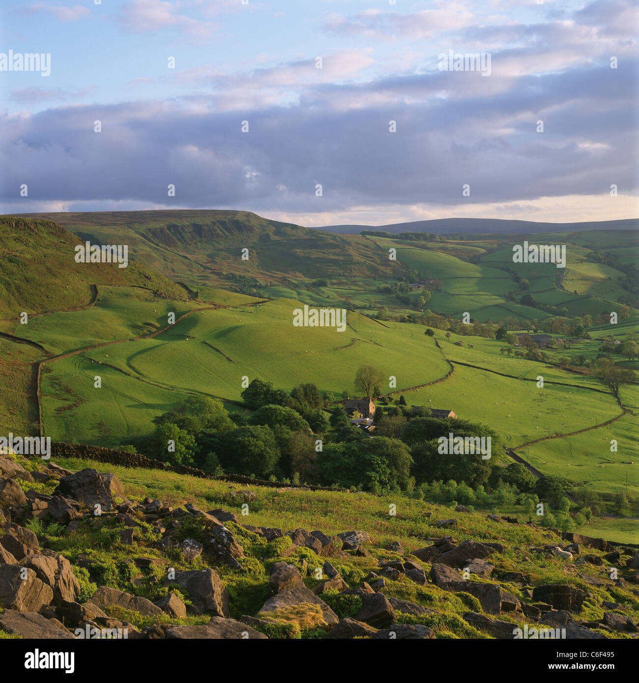 Un paysage agricole du nord pittoresque de collines verdoyantes et la lande vu dans la douce lumière d'un soir d'été. Banque D'Images