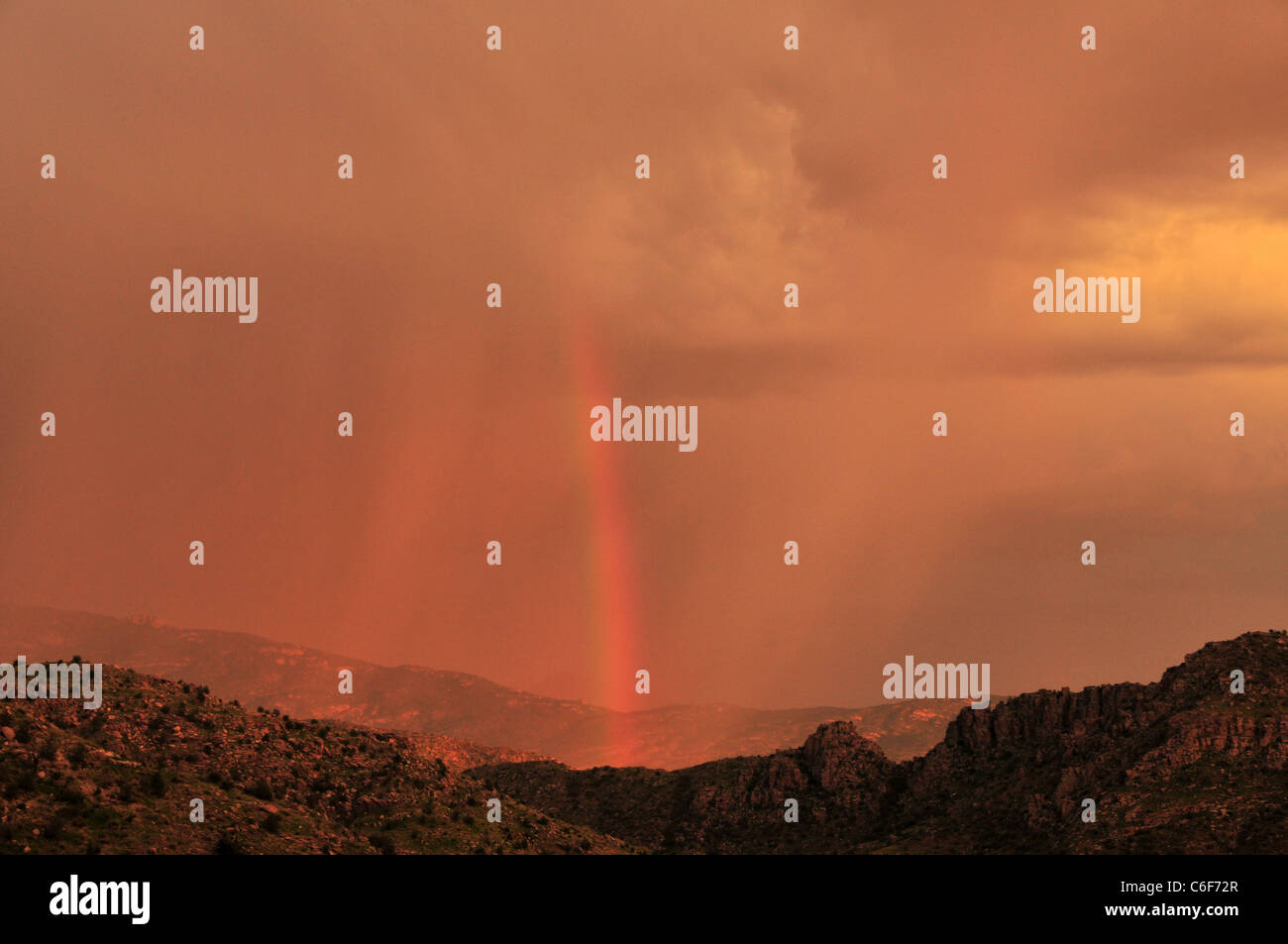 Un arc-en-ciel au coucher du soleil au cours d'une tempête de mousson dans les montagnes Santa Catalina, Coronado National Forest, Tucson, Arizona, USA. Banque D'Images