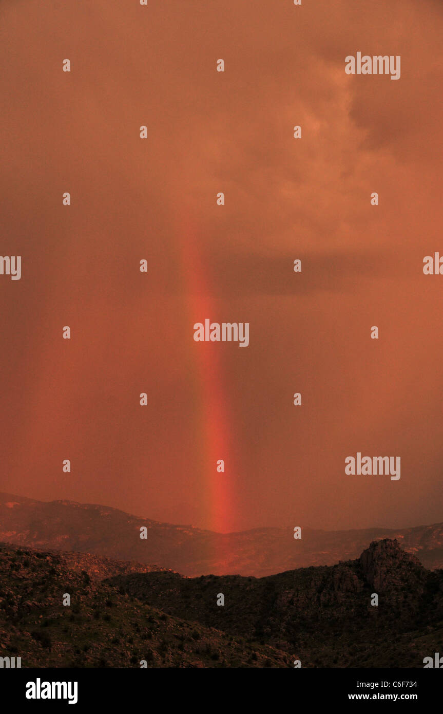 Un arc-en-ciel au coucher du soleil au cours d'une tempête de mousson dans les montagnes Santa Catalina, Coronado National Forest, Tucson, Arizona, USA. Banque D'Images