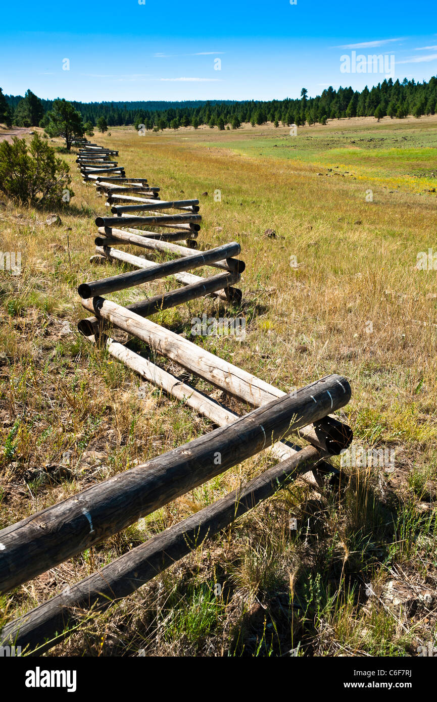 Une clôture en bois près de Lake Mary au sud de Flagstaff, AZ. Banque D'Images