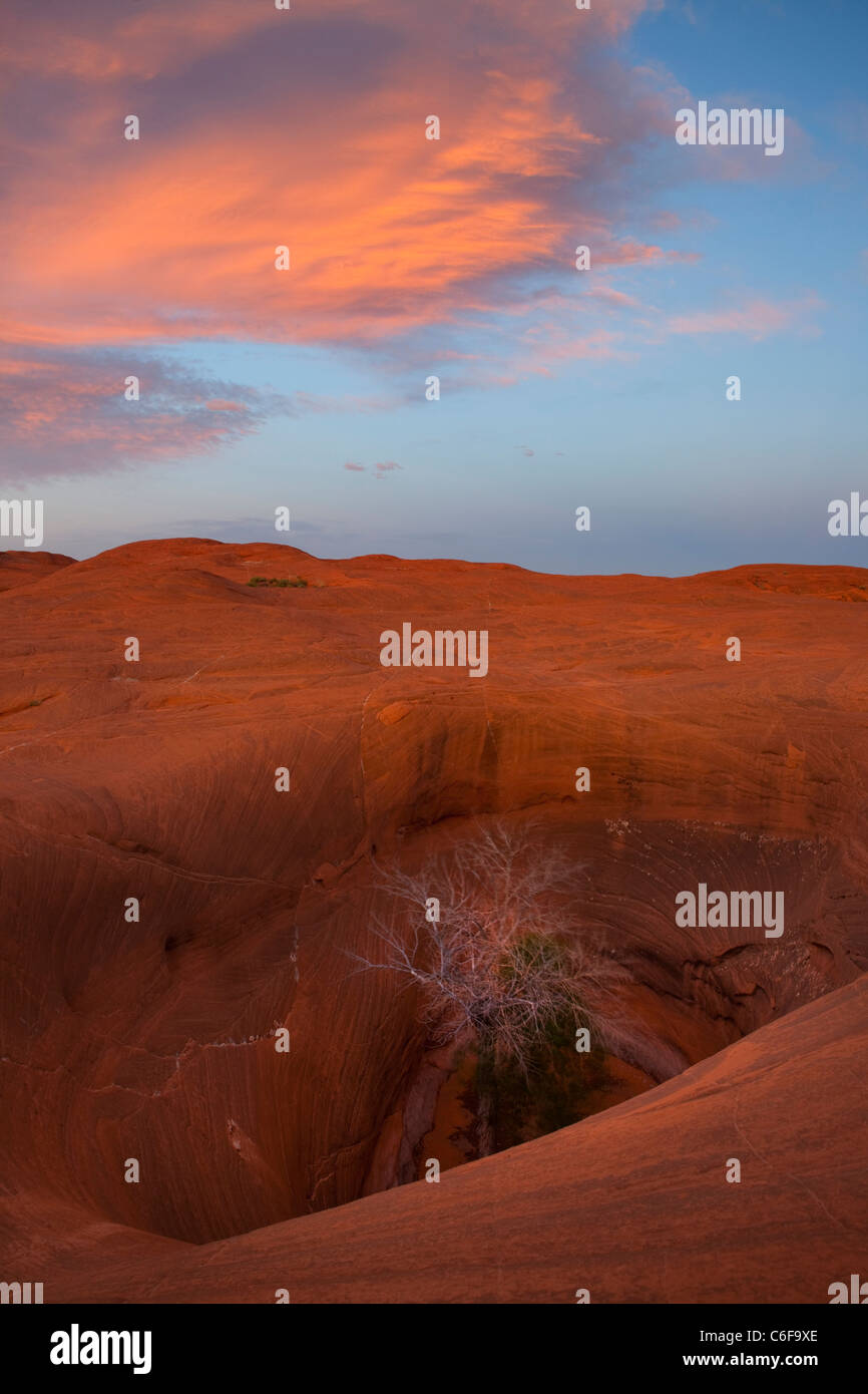 Les trous du pot au Dance Hall Rock, Coucher de soleil - Grand Staircase-Escalante National Monument (Utah) Banque D'Images