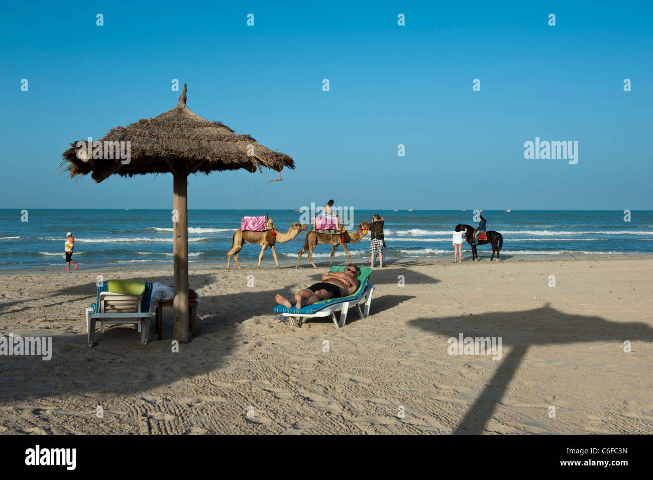 Promenades en chameau le long de la plage de Sidi Mehrez Djerba Tunisie, Afrique du Nord Banque D'Images