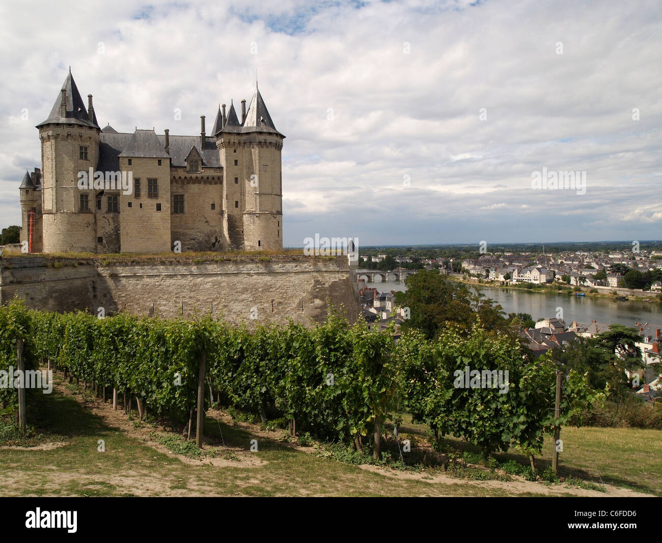 Chateau de Saumur, Loire, France, avec vignoble dans le premier plan et la Loire en arrière-plan. Banque D'Images