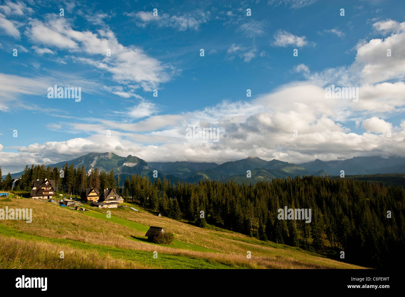 Paysage rural par des montagnes Tatras, Pologne, Podhale Banque D'Images