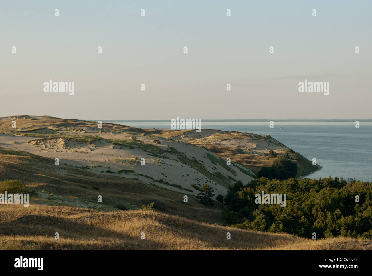 Dene, dunes, Malines, Pervalka, Courlande, Lituanie, Marine, Paysage, Kopos, Kuršių marios, Lietuva, Irtas, Zmuida Banque D'Images