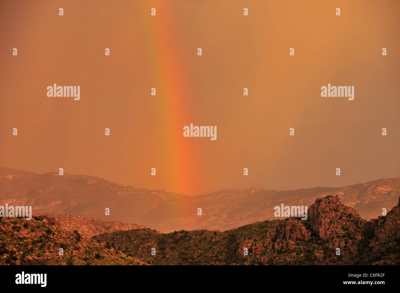 Un arc-en-ciel au coucher du soleil au cours d'une tempête de mousson dans les montagnes Santa Catalina, Coronado National Forest, Tucson, Arizona, USA. Banque D'Images