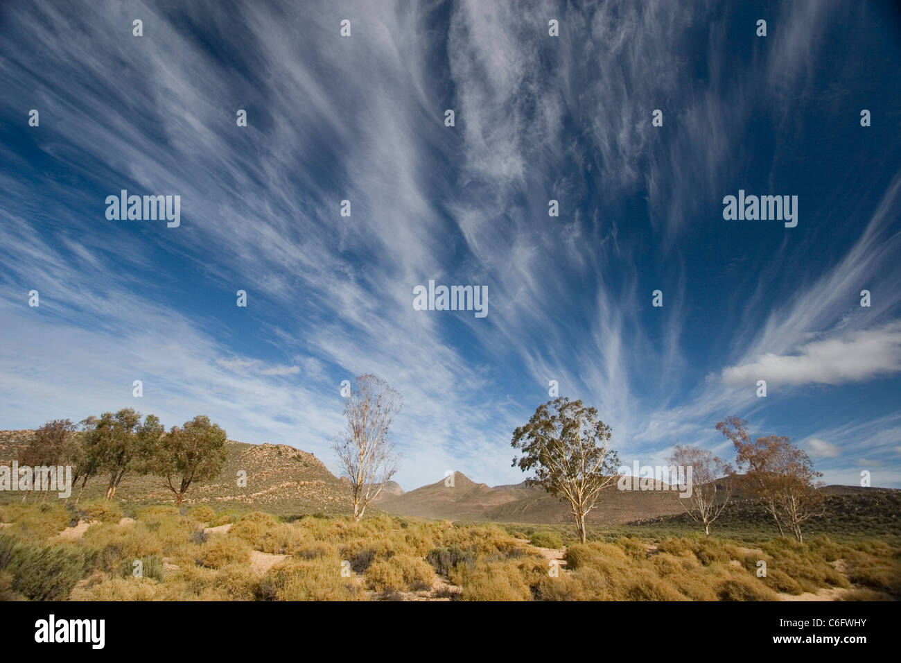 Paysage d'Afrique du Sud, avec des nuages Banque D'Images