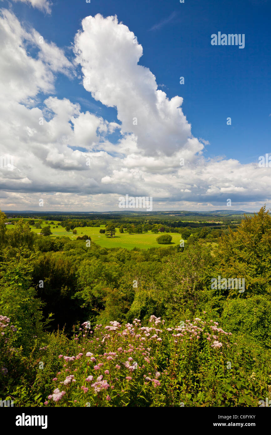 À la recherche du point de vue du nord au sud vers le bas sur le Duncton dans West Sussex, England, UK Banque D'Images