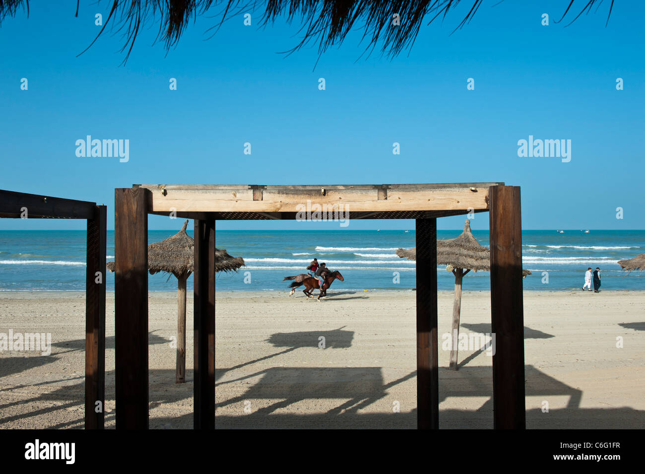 Chevaux au galop le long de la plage de Sidi Mehrez Djerba Tunisie Afrique du Nord Banque D'Images