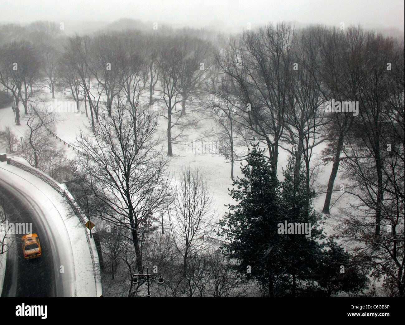 Central Park,transversale taxi jaune en hiver neige avec arbres, NYC Banque D'Images
