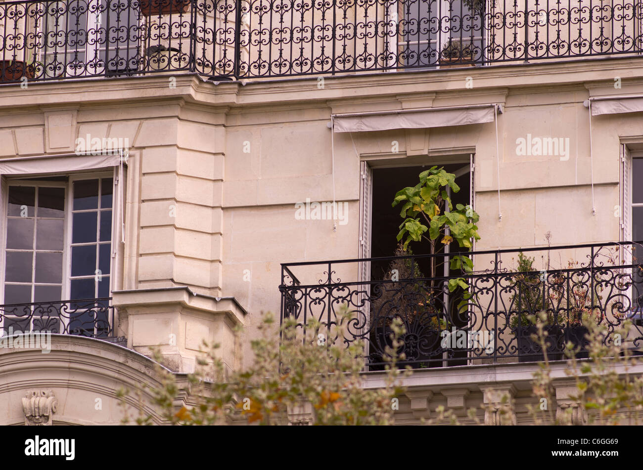 Les résidents de {ypsipyli ajouter un peu à leur campagne des balcons dans le coeur de Paris près de Les Invalides dans le 7e Banque D'Images