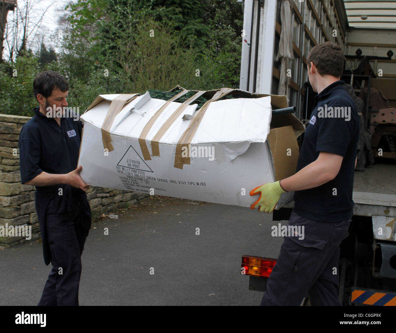 Déménageurs déplacer un arbre de Noël de la maison de Kerry Katona sur un camion. La star de télé-réalité et ex-Atomic Kitten Banque D'Images