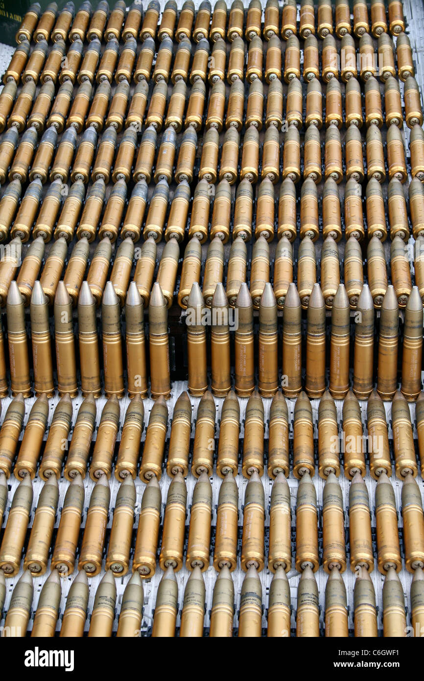 Une vue rapprochée de diverses cartouches, balles et cartouches, utilisées dans les armes à feu et les opérations militaires, montrant les différents calibres et caractéristiques de conception essentiels pour une performance efficace des munitions. Banque D'Images