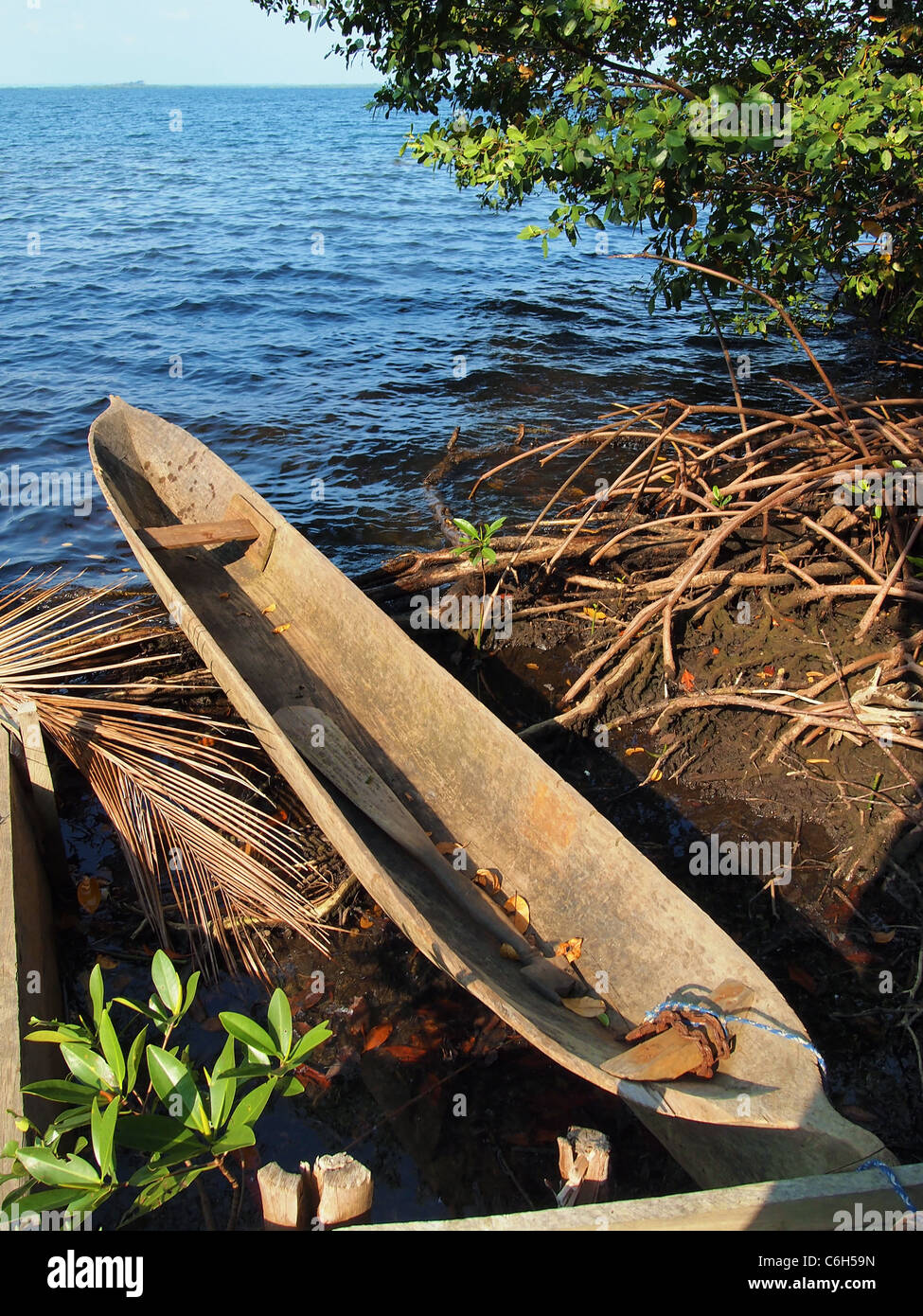 Pirogue amérindienne dans la région de Bocas del Toro, Panama, la mer des Caraïbes Banque D'Images