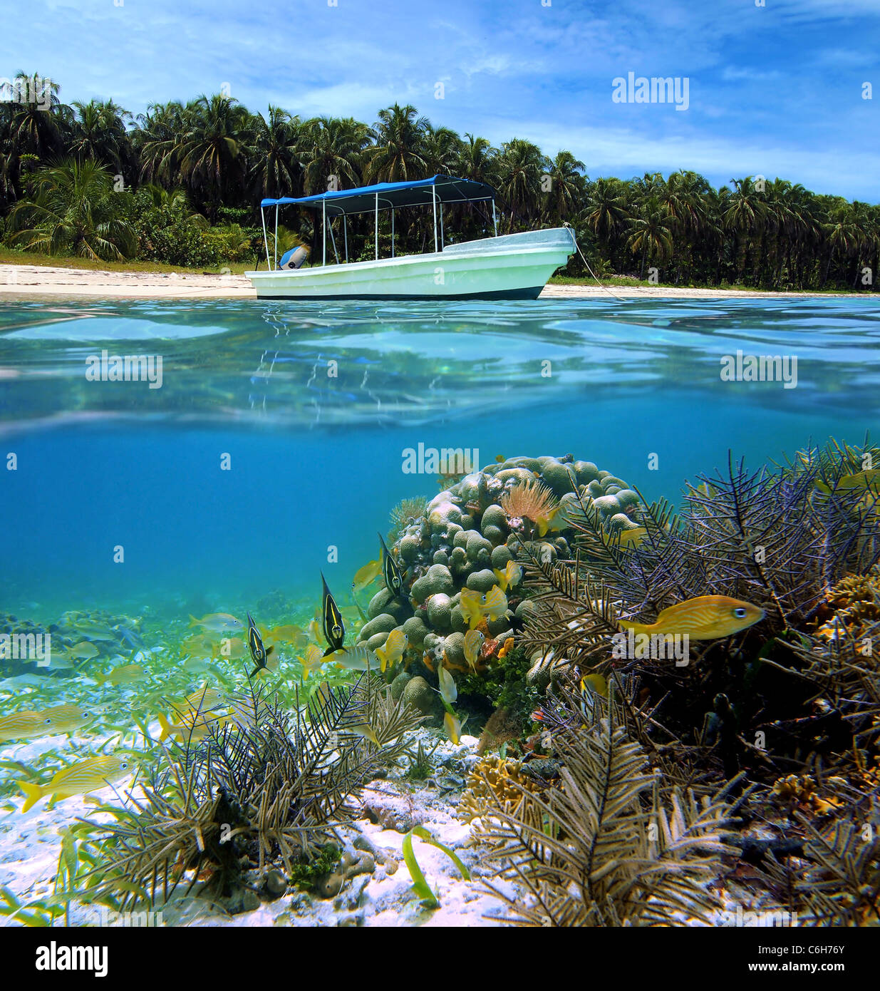 Vue sous-marine et de surface avec voile, belle plage, coraux et poissons tropicaux, mer des Caraïbes, le Costa Rica Banque D'Images