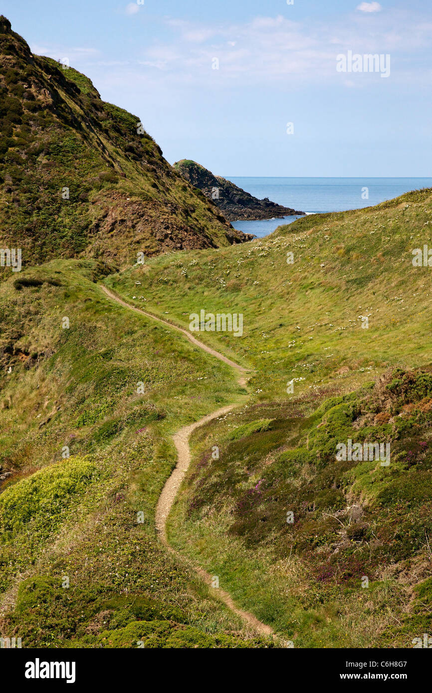 L'article du south west coast path sur le Cornwall Devon frontière près de Hartland Quay en direction de Gull Rock Banque D'Images