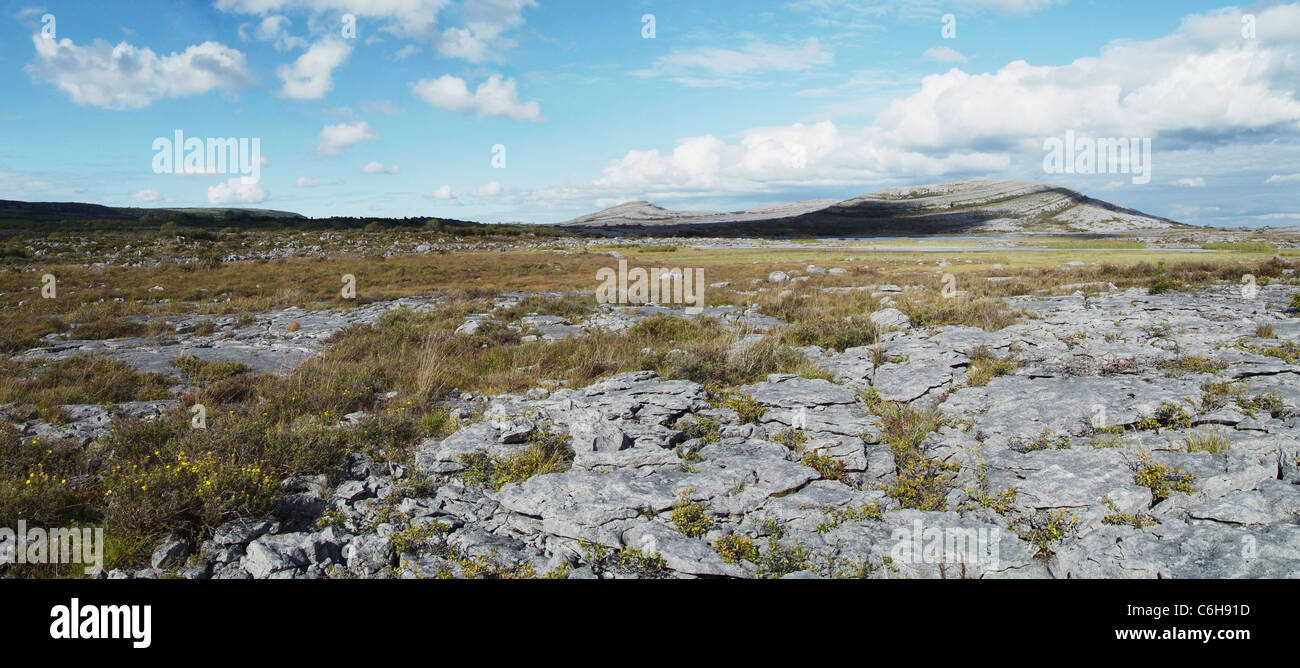 Lapiez à Mullaghmore dans le comté de Clare, Irlande Banque D'Images