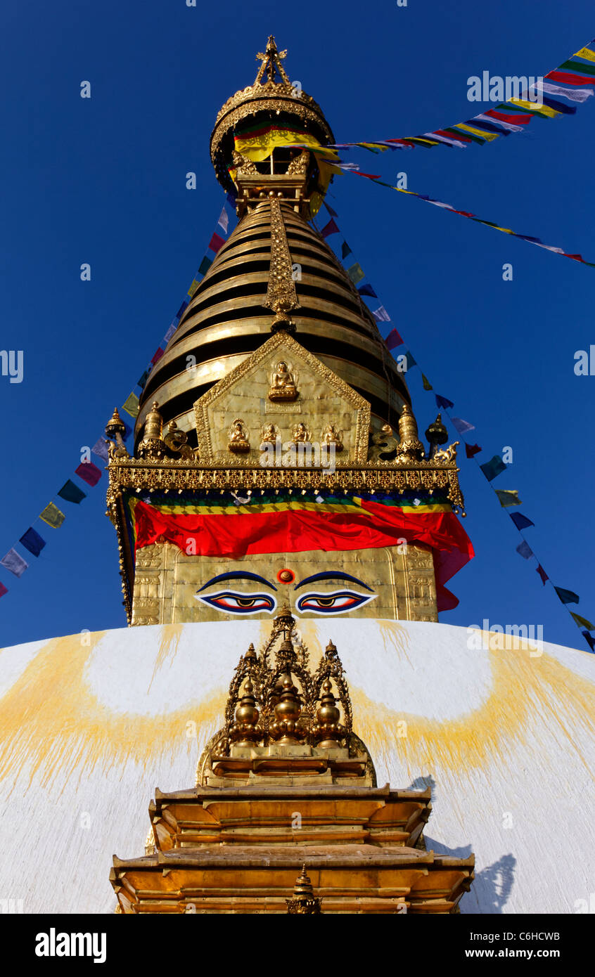 Le Temple de Swayambhunath, singe, Kathamndu, Népal Banque D'Images