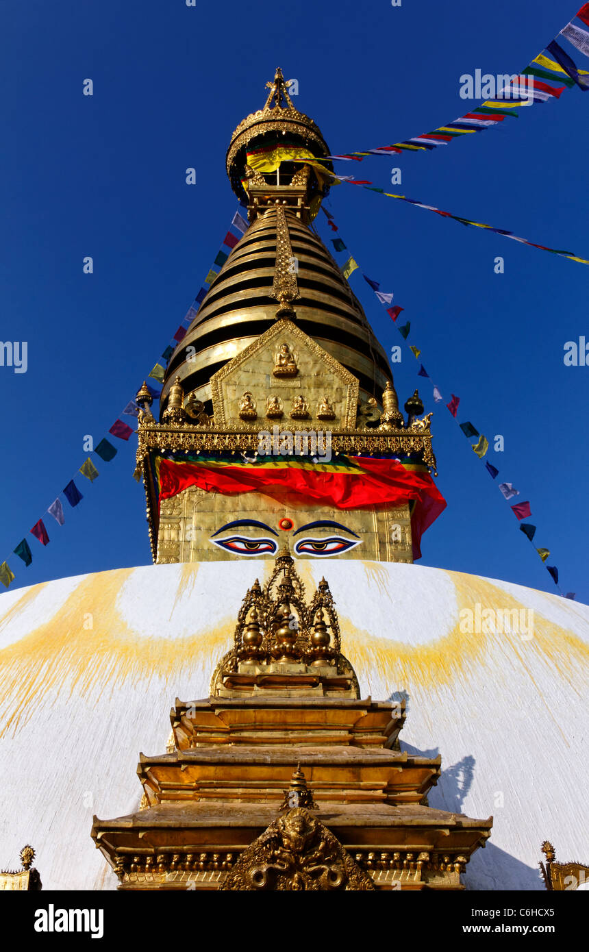 Le Temple de Swayambhunath, singe, Kathamndu, Népal Banque D'Images