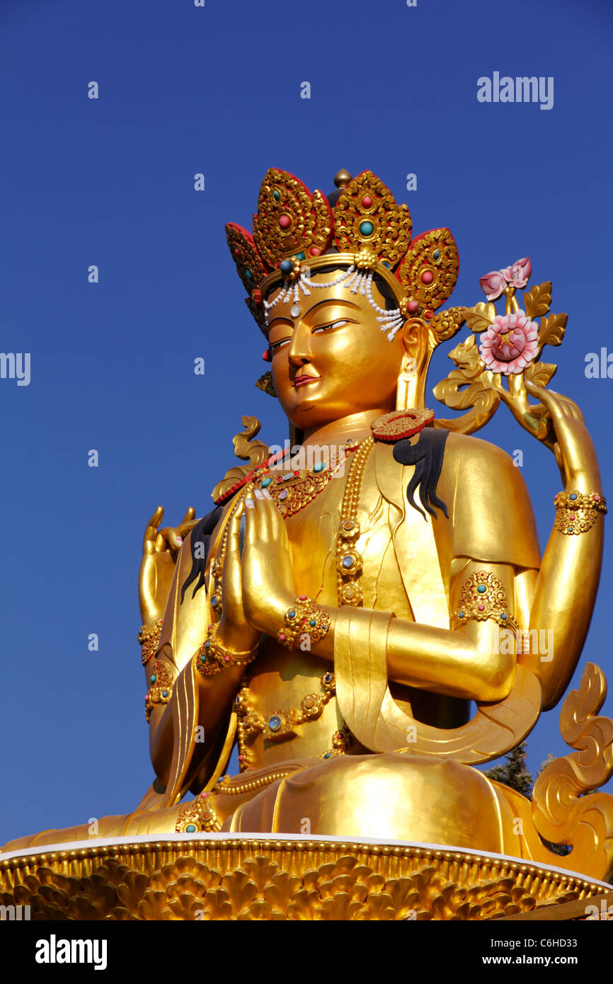 Le Bouddha Park, Katmandou, Népal Banque D'Images