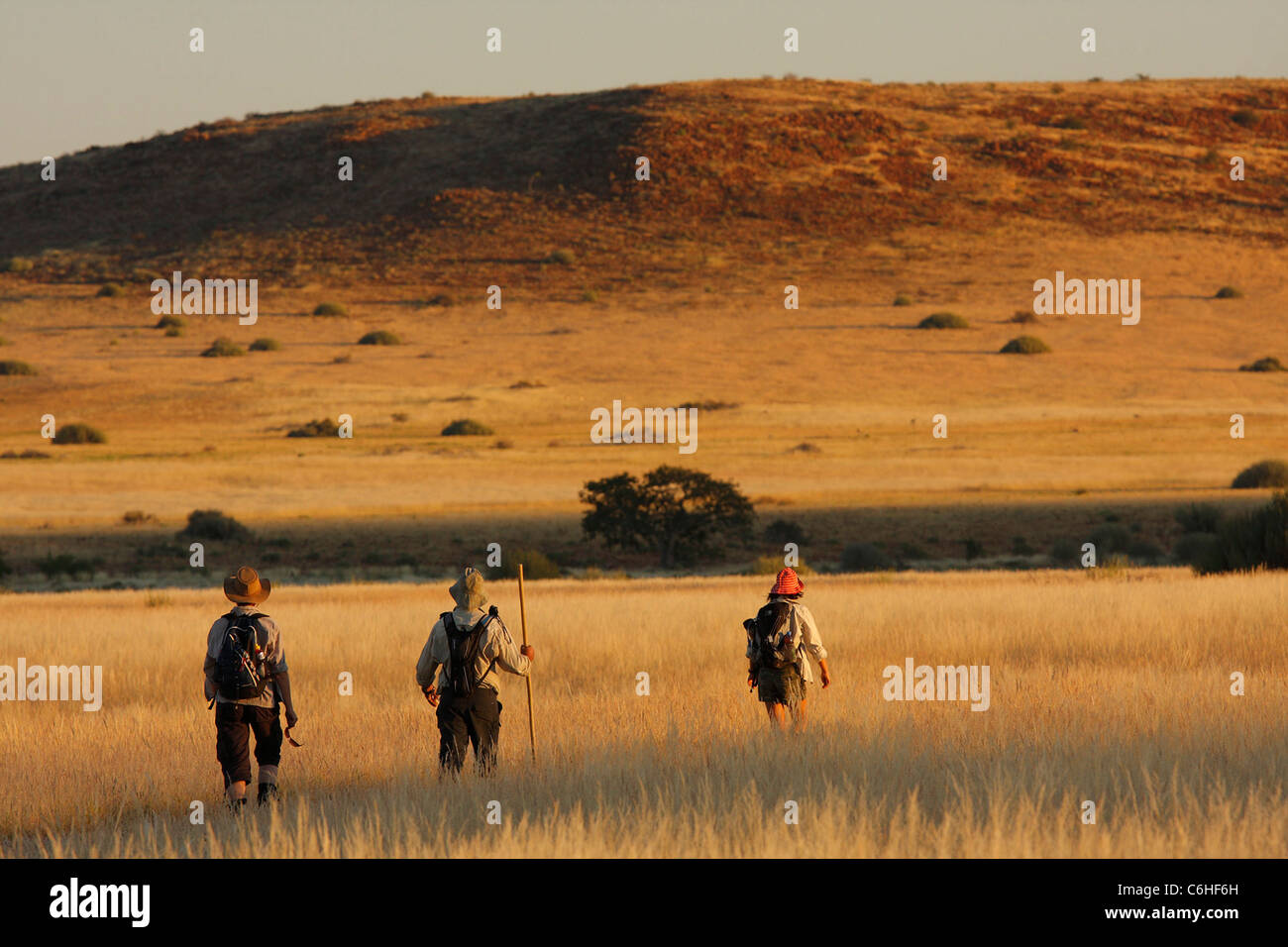 Les randonneurs en paysage désertique avec bushman grass Banque D'Images