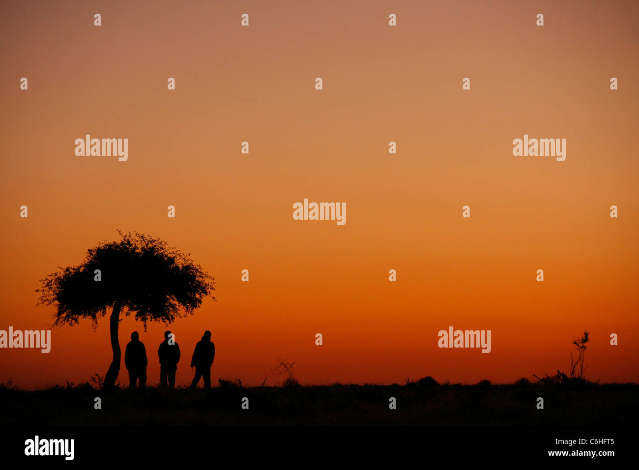 Trois randonneurs se découpant au coucher du soleil dans le désert paysage Banque D'Images