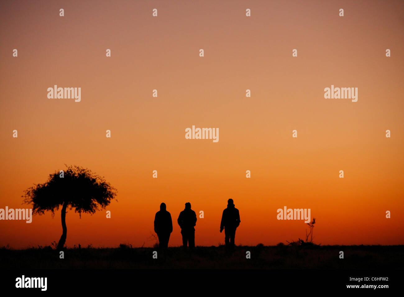 Trois randonneurs se découpant au coucher du soleil dans le désert paysage Banque D'Images