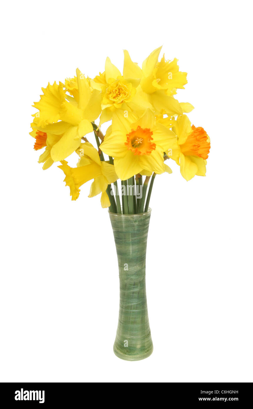 Un bouquet de fleurs de la jonquille mélangé dans un vase isolé contre  white Photo Stock - Alamy