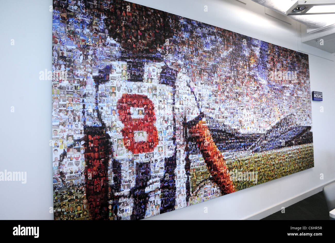 Le Brighton and Hove Albion mosaïque ventilateur fabriqué à partir de milliers de photos de fans et d'une légende Albion Peter Ward Banque D'Images