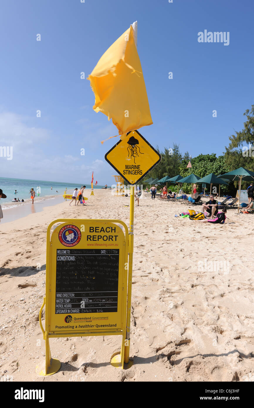 Rapport de plage, les Stingers signe et drapeau jaune sur la plage, l'île Green, Grande Barrière de Corail, Queensland, Australie Banque D'Images