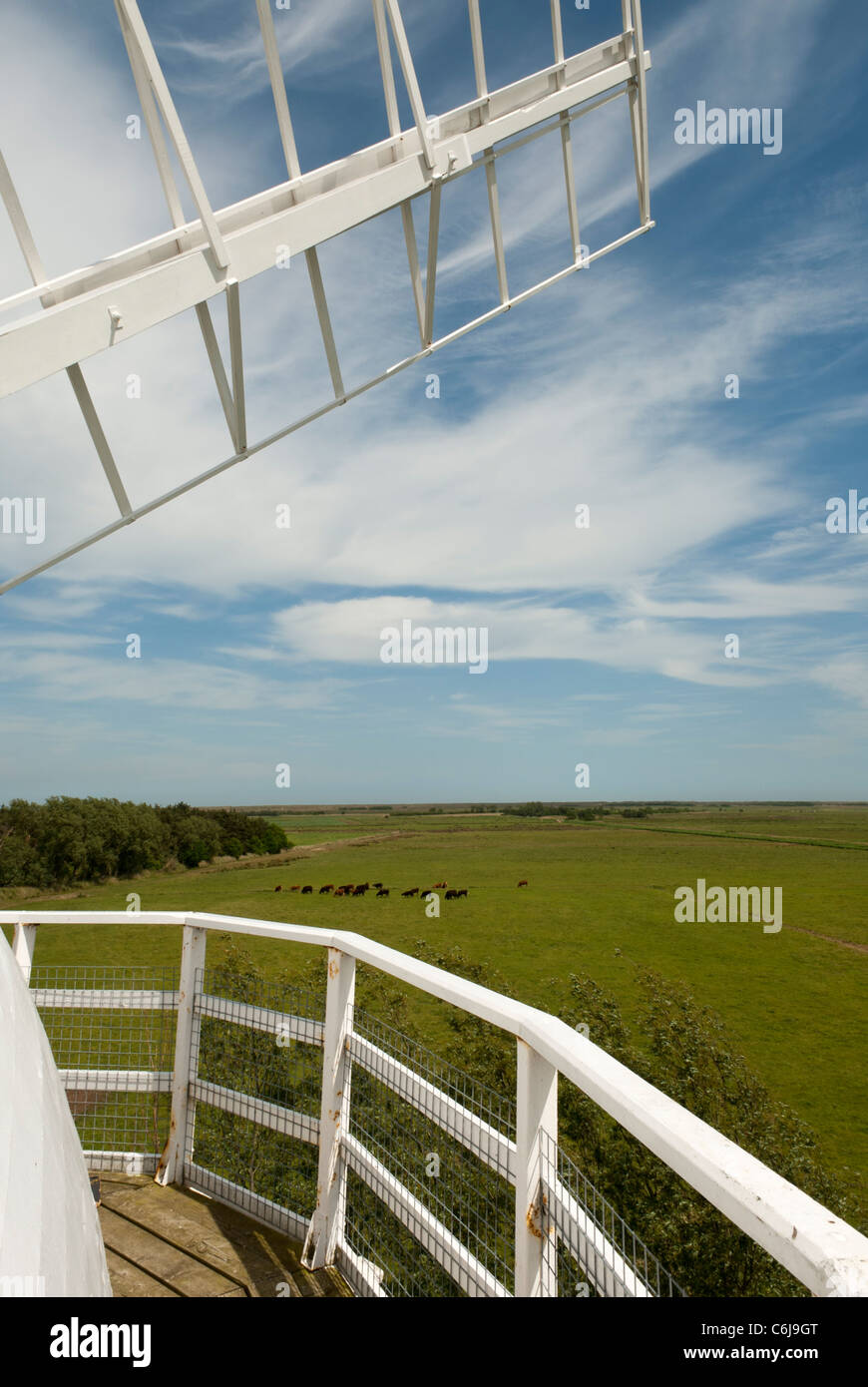Vue du moulin de Drainage Horsey, Horsey, Norfolk, Angleterre. Banque D'Images