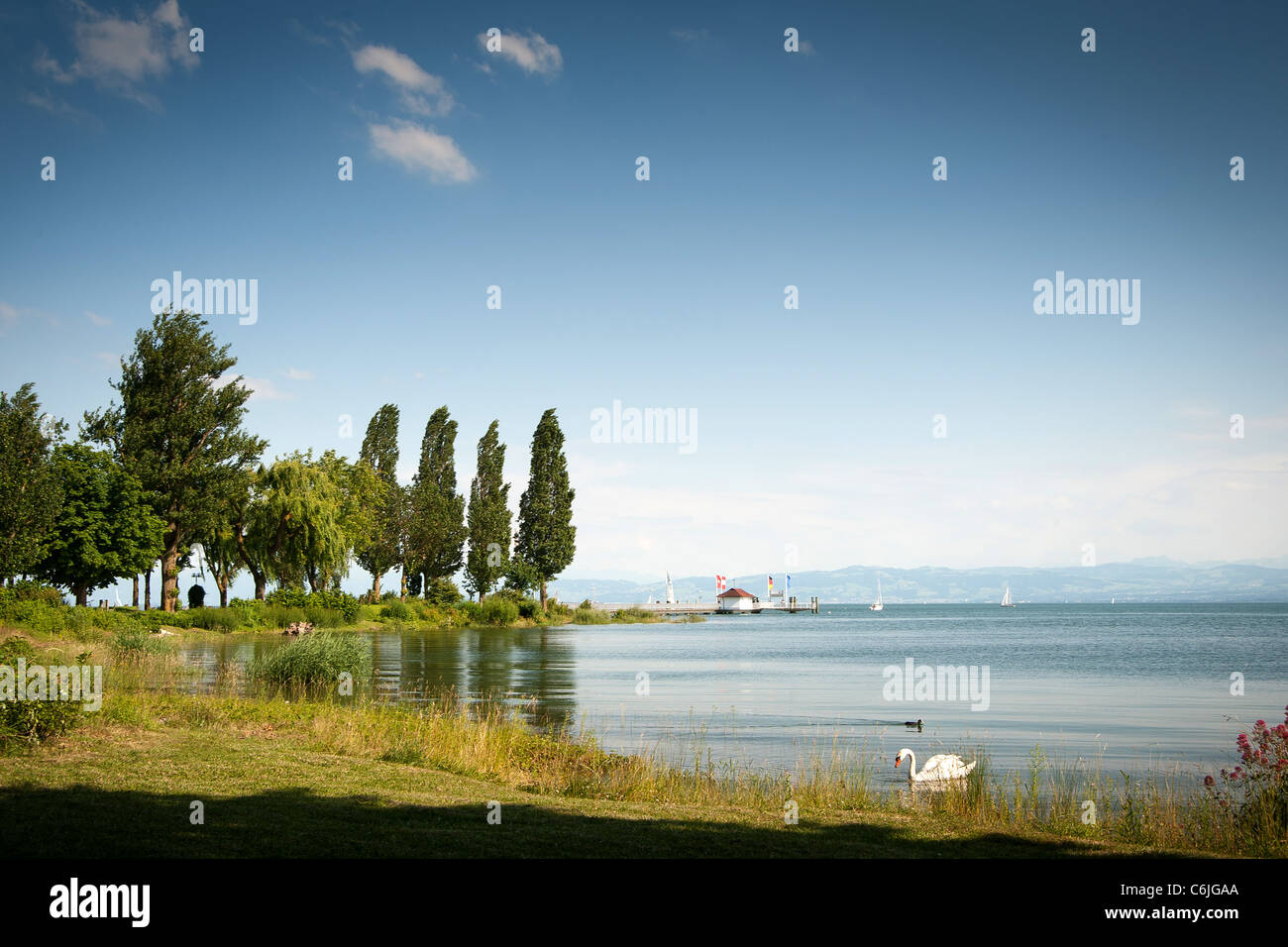 Vue sur le lac de Constance, port à Immenstaad, Allemagne Banque D'Images