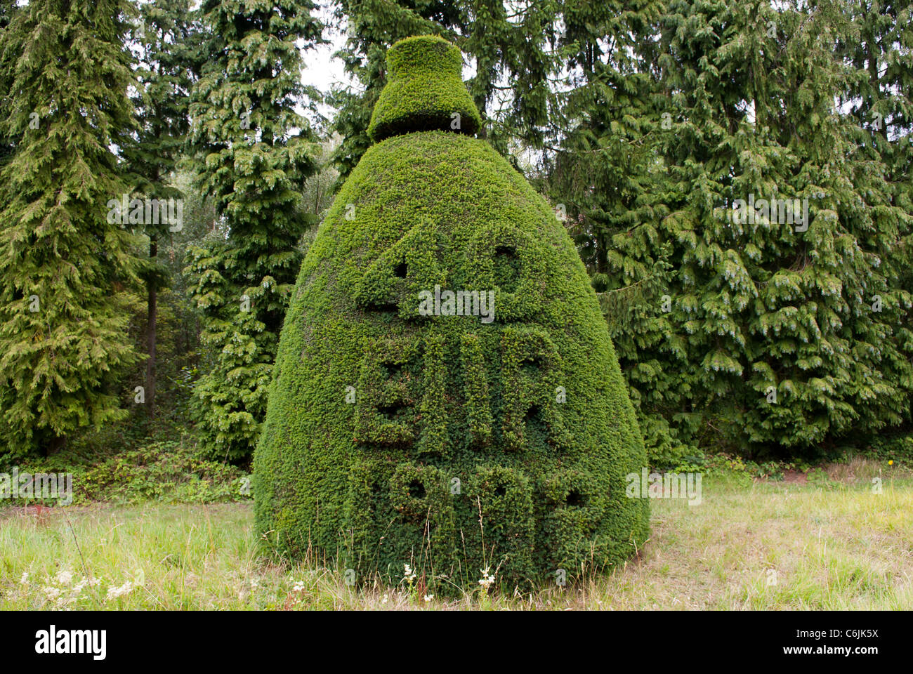 Clipsham, Yew Tree Avenue, une collection unique de 150 coupé des ifs, la plupart de plus de 200 ans. Clipsham, Rutland, Angleterre. Banque D'Images