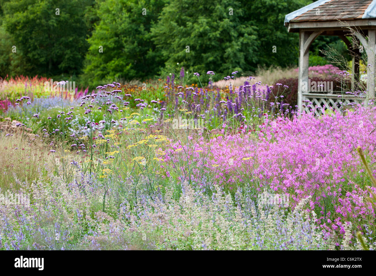 Le Millenium à Pensthorpe Jardin nature reserve, Norfolk, UK, a été conçu par Piet Oudolf, Banque D'Images