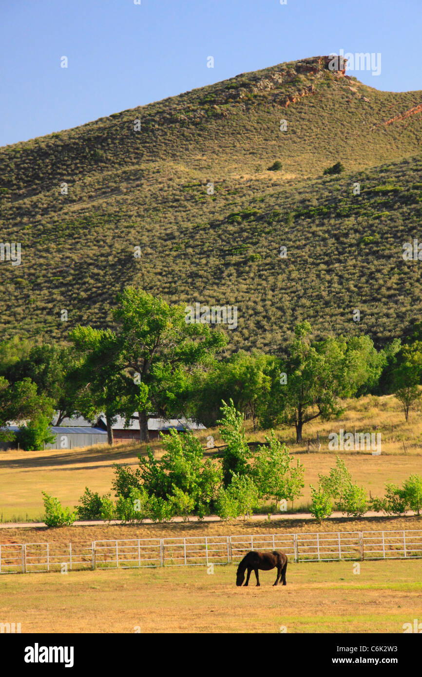 Ellis Ranch Event Center et parc de mariage, Loveland, Colorado, USA Banque D'Images