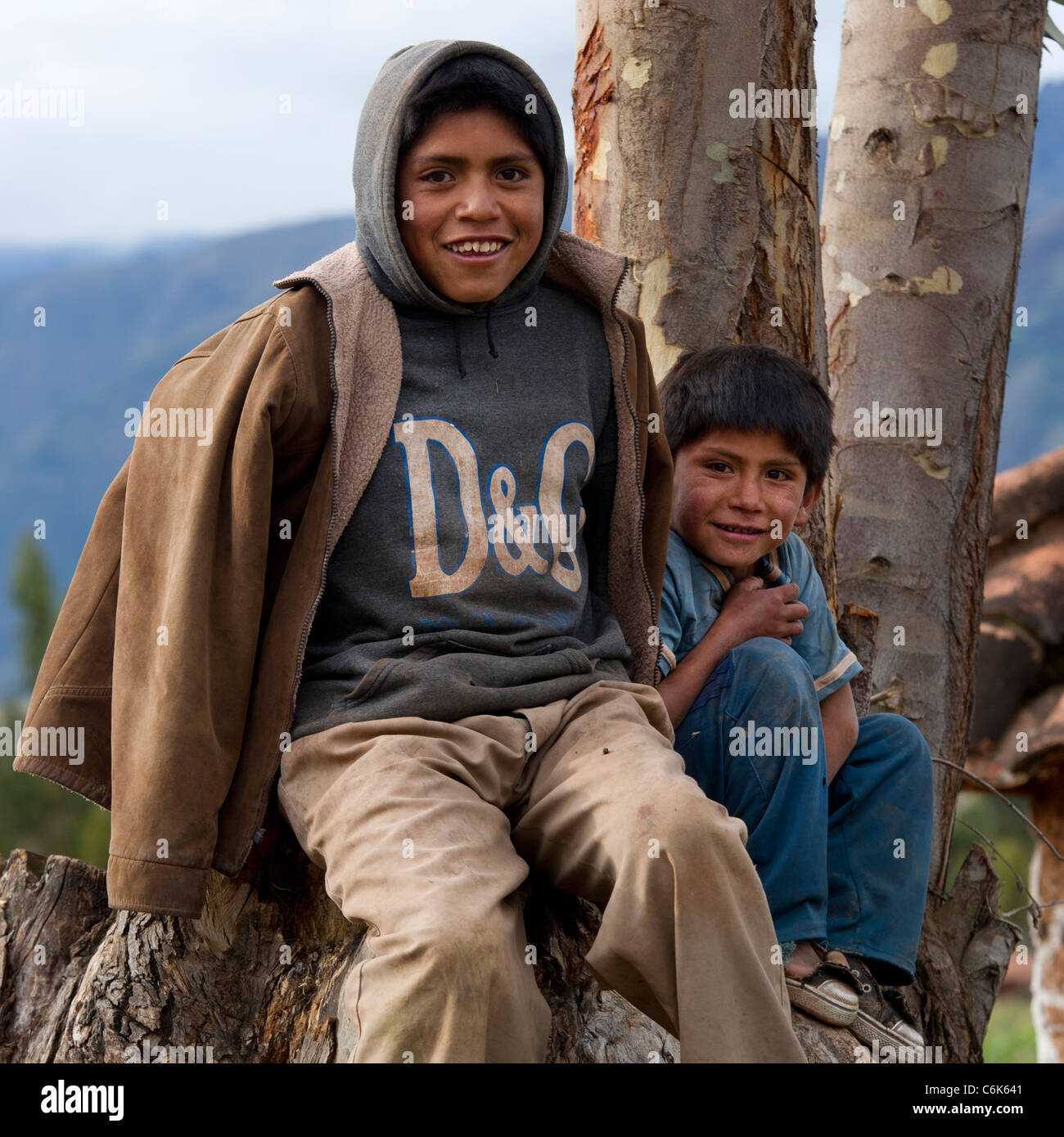 Portrait de deux garçons assis sur un arbre, la Vallée Sacrée, région de Cuzco, Pérou Banque D'Images