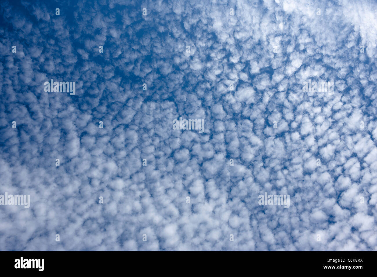 L'Altocumulus floccus Banque D'Images
