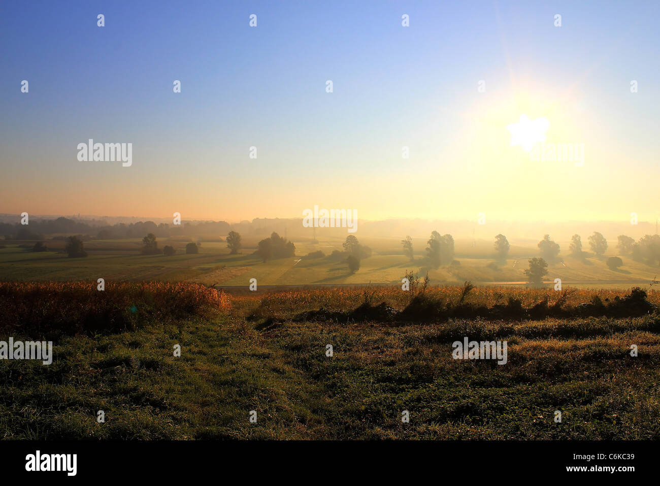 Soleil du matin et le brouillard Banque D'Images