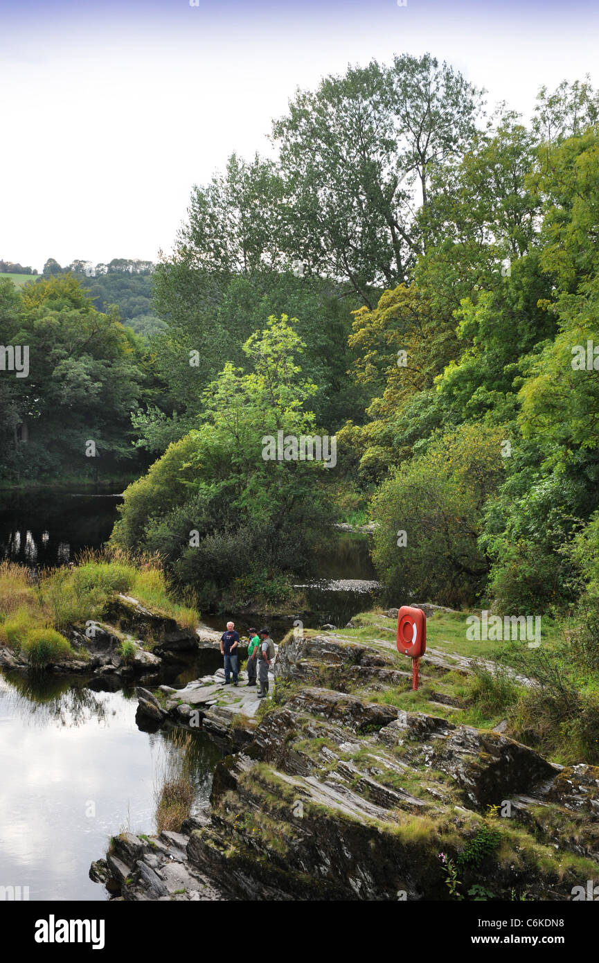 La rivière (ou) d'Afon Teifi de Cenarth pont qui la frontière entre Carmarthenshire Ceredigion et dans l'ouest du pays de Galles UK Banque D'Images