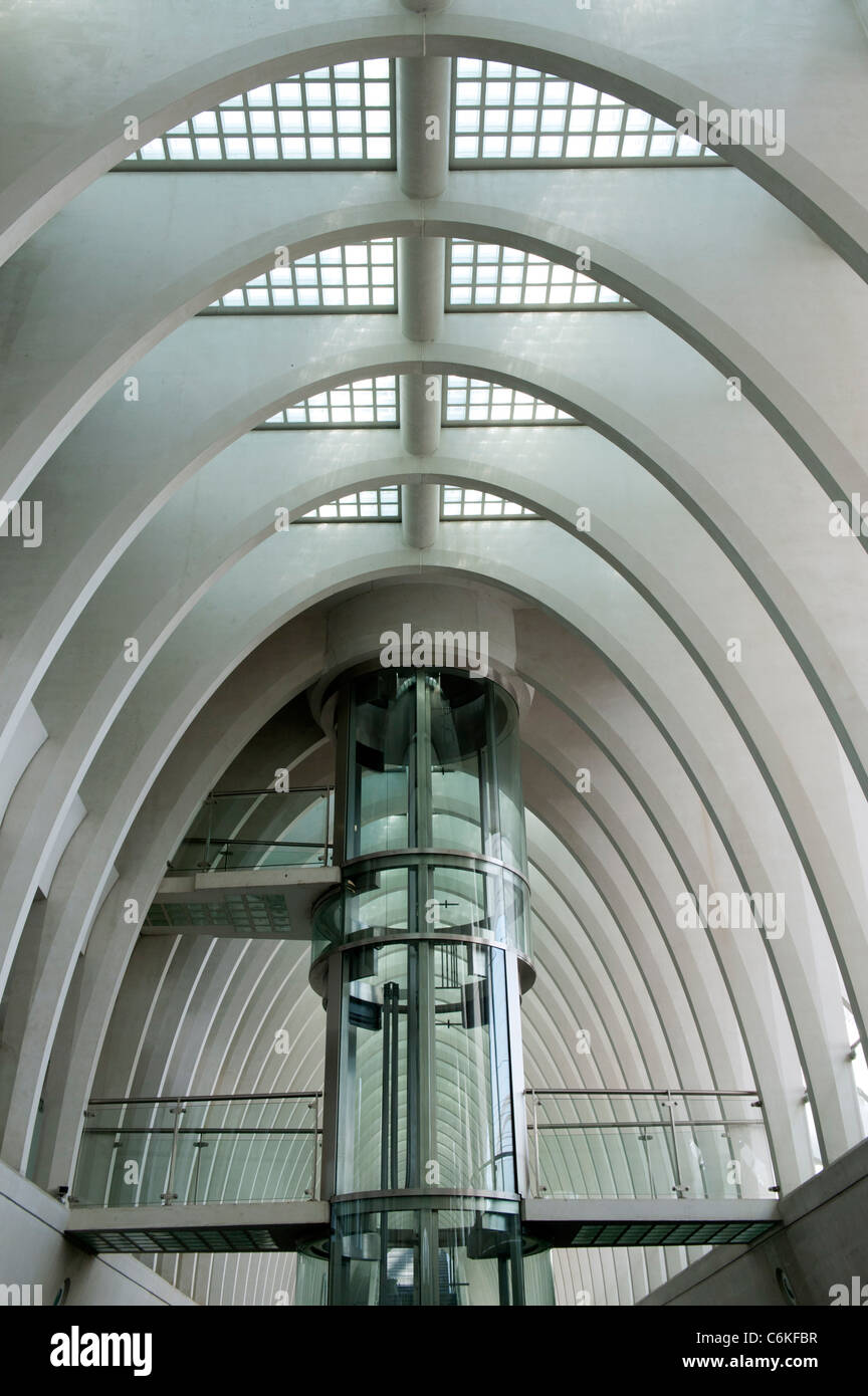 Modernisation de la gare ferroviaire de Liège-Guillemins conçue par l'architecte Santiago Calatrava à Liège Belgique Banque D'Images