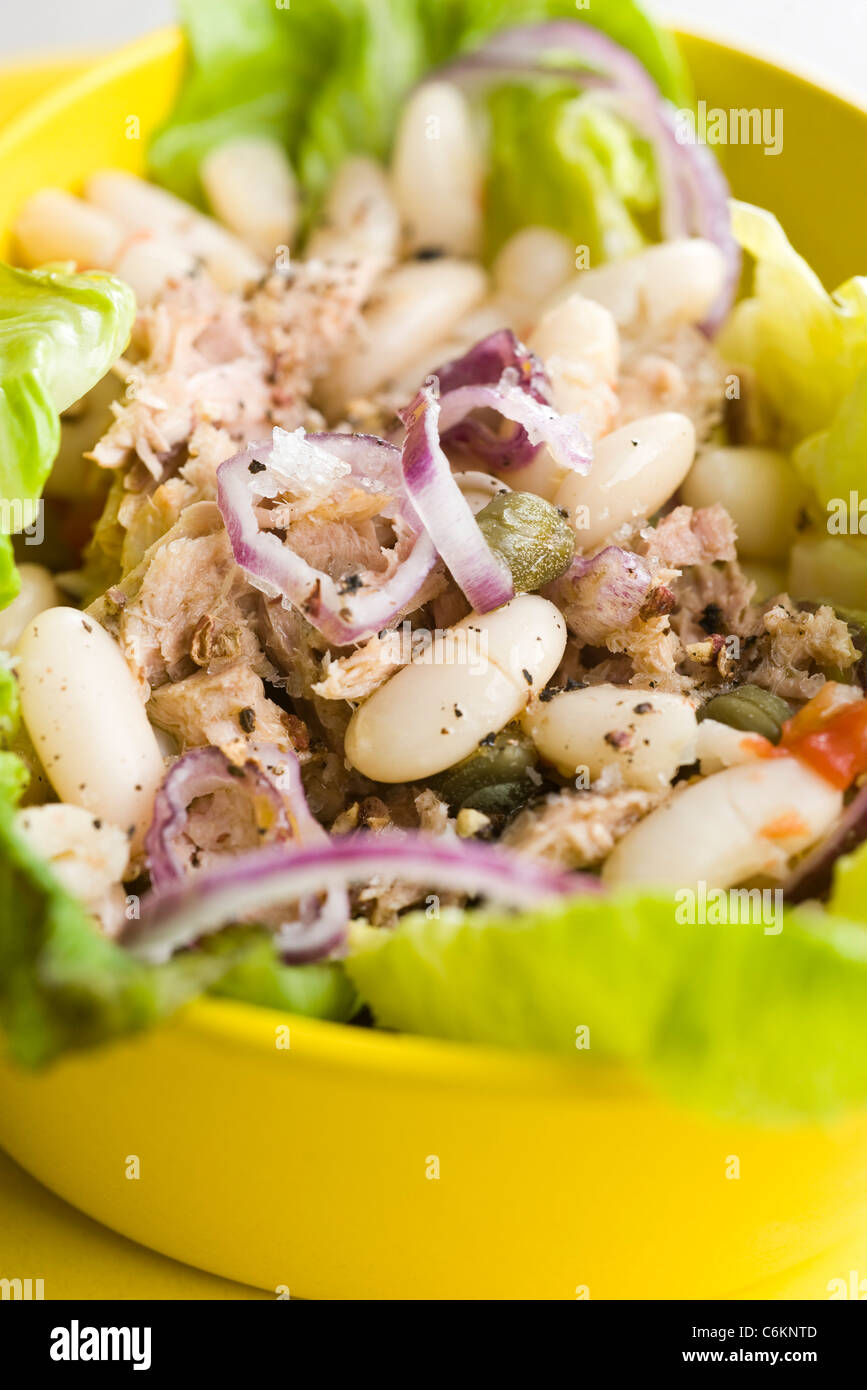 Avec salade de haricots blancs et thon Banque D'Images